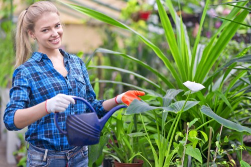 Sustainable landscaping features in a Pimlico garden