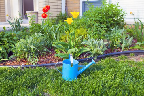 Professional landscaper planning a garden in Pimlico