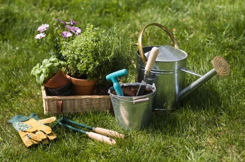 Garden clearance assessment by experts in Pimlico