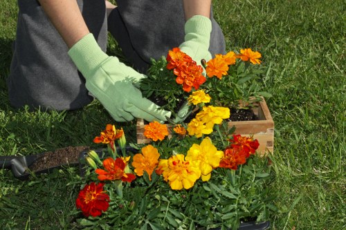 Different hedge trimming techniques