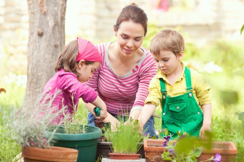 Selection of native plants ideal for Pimlico garden maintenance.